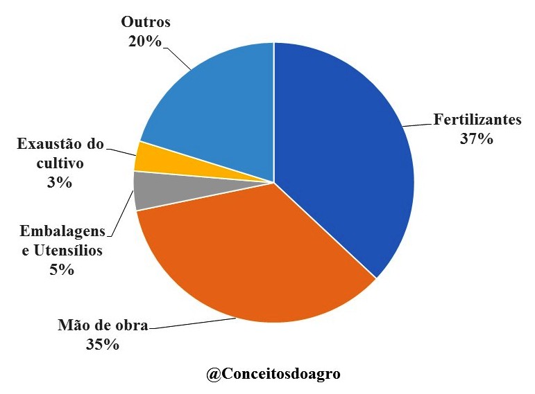 Custo de produção do café arábica no Espírito Santo em 2020