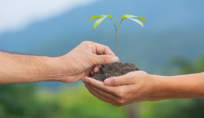 Coeficientes técnicos no setor agropecuário