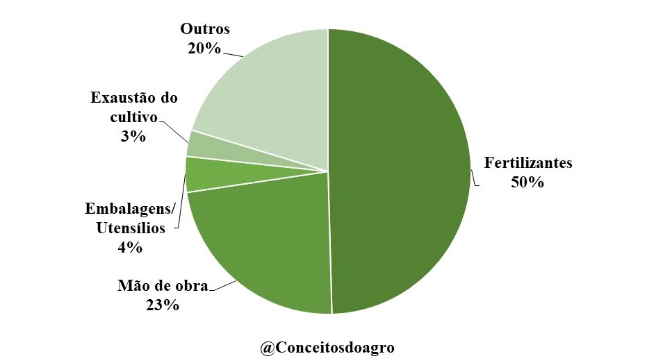 Custo de produção do café arábica no Espírito Santo