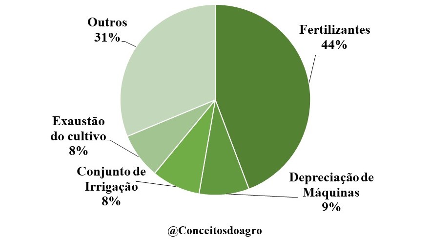 Custo de produção do café arábica em Goiás