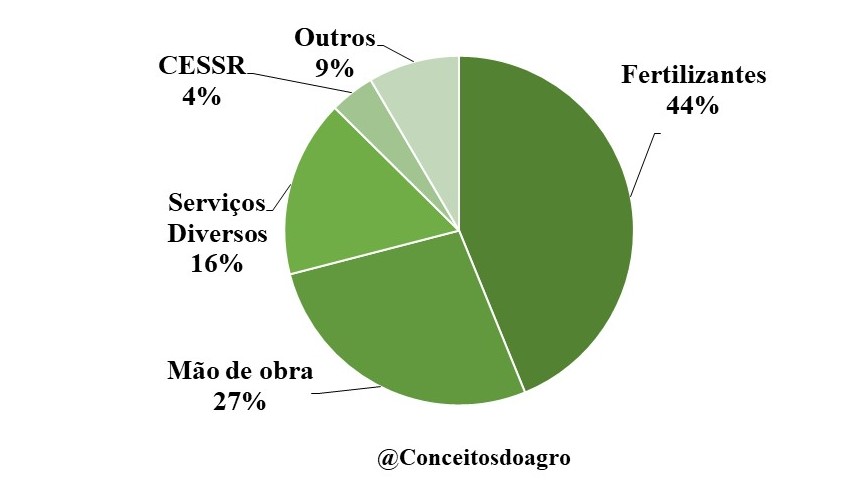 Custo de produção da banana prata na Bahia em 2021