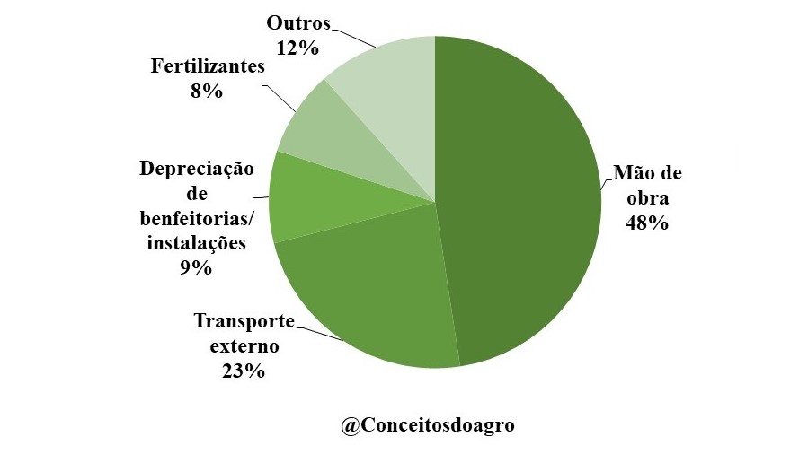 Custo de produção da cana-de-açúcar em Minas Gerais em 2021