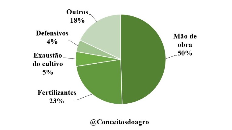 Custo de produção do café arábica na Bahia