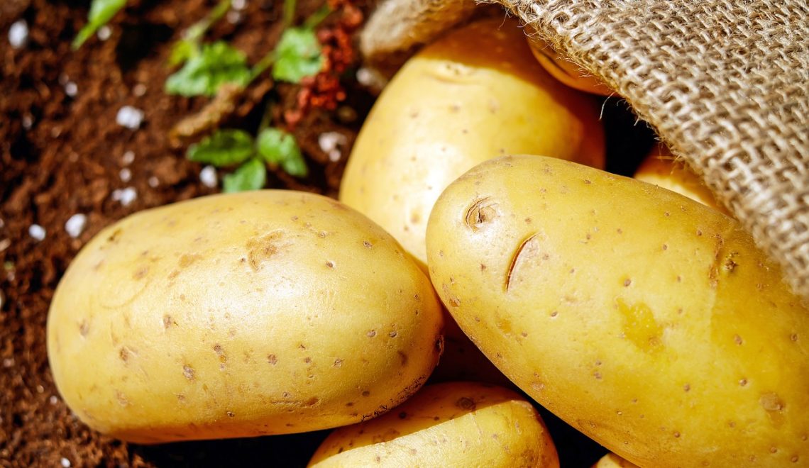 Custo de produção da batata inglesa em Minas Gerais no ano de 2021