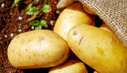 Custo de produção da batata inglesa em Minas Gerais no ano de 2021