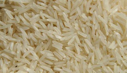 custo de produção do arroz sequeiro em Mato Grosso do Sul em 2021