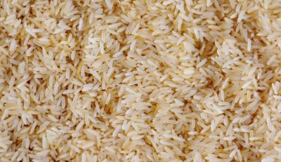 Custo de produção do arroz sequeiro em Mato Grosso em 2021