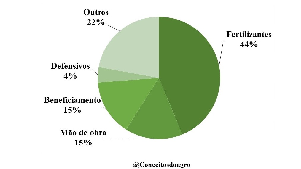 Custo de produção do café conilon na Bahia para o ano de 2021