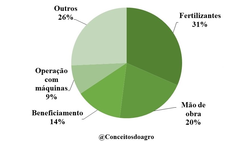 custo de produção do café conilon no Espírito Santo no ano de 2021