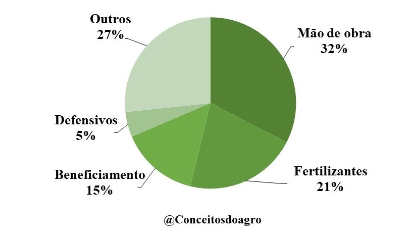 Custo de produção do café conilon em Rondônia no ano de 2021