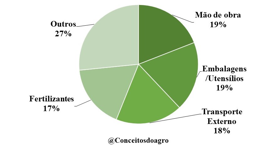 Custo de produção do tomate em Minas Gerais para o ano de 2021