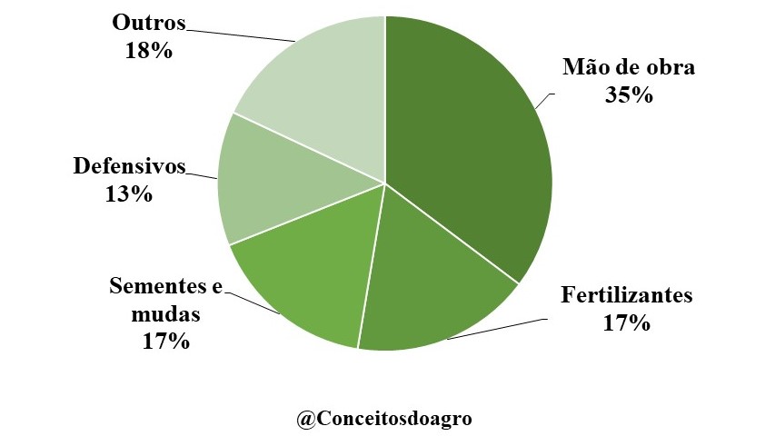 Custo de produção do tomate no Rio de Janeiro em 2021