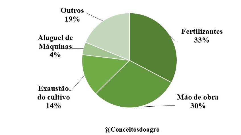 Custo de produção da laranja na Bahia para o ano de 2021.