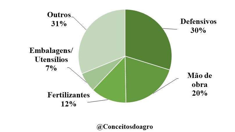 Custo de produção do tomate em Santa Catarina no ano de 2021