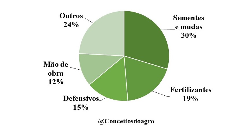 Custo de produção da batata inglesa em Minas Gerais no ano de 2021