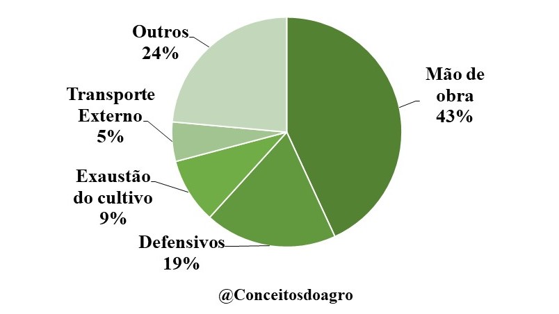 Custo de produção da uva no Rio Grande do Sul para o ano de 2021