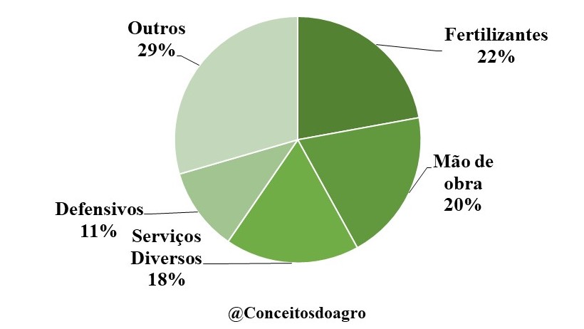 Custo de produção do abacaxi em Alagoas no ano de 2021