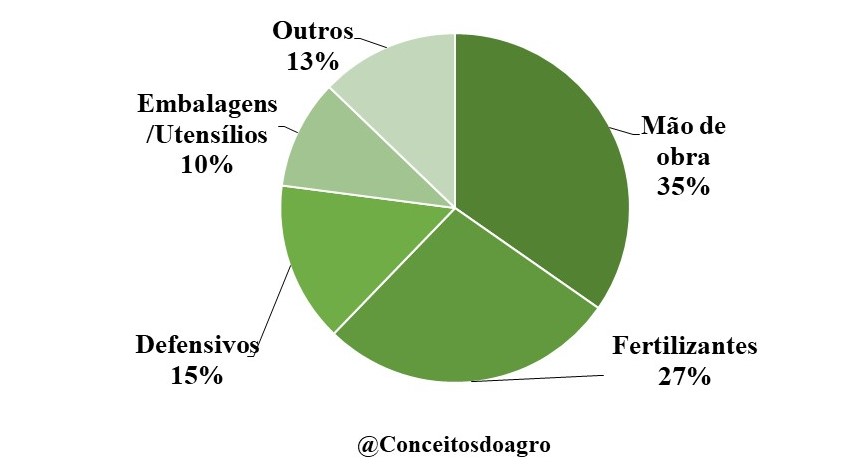 Custo de produção do maracujá em Alagoas para o ano de 2021