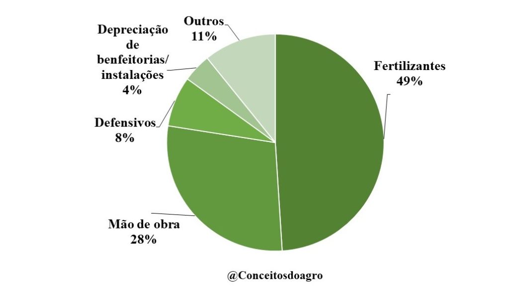 Custo de produção do maracujá no Ceará no ano de 2021