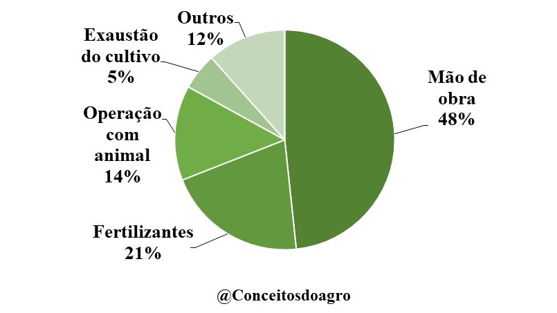 Custo de produção do cacau na Bahia no ano de 2021