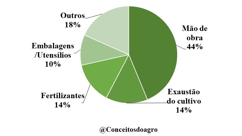 custo de produção do cacau no Pará para o ano de 2021