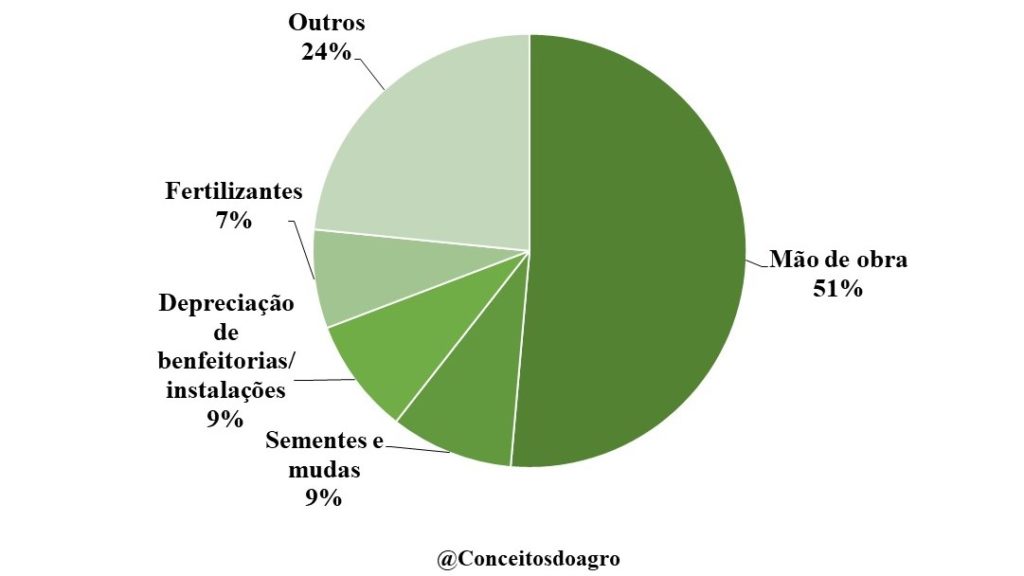 Custo de produção do maracujá em Santa Catarina no ano de 2021