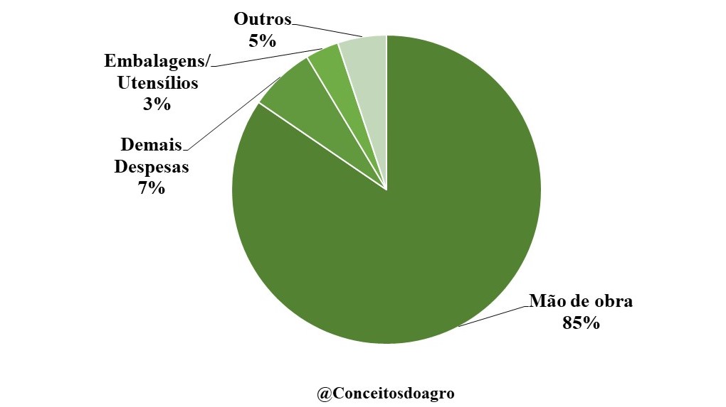 Custo de produção do açaí no Amazonas em 2020