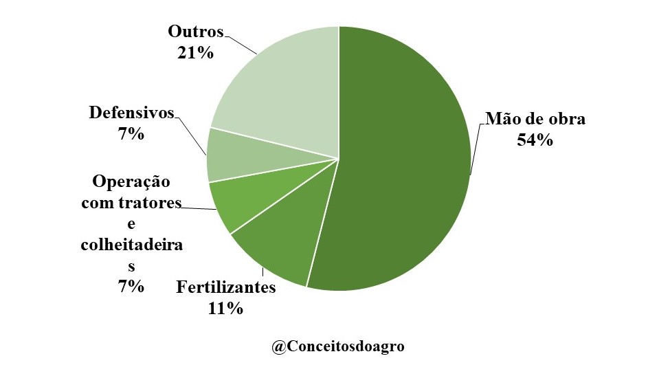 Custo de produção da batata doce no Rio Grande do Sul em 2021