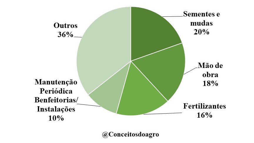 Custo de produção da batata doce em São Paulo para o ano de 2021