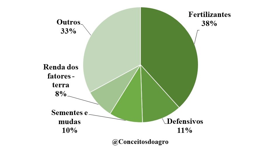 Custo de produção do sorgo em Goiás para o ano de 2021