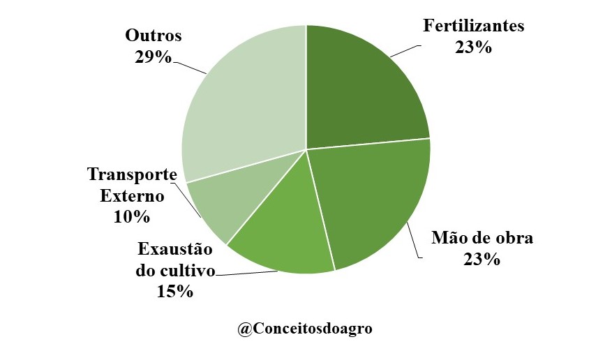 Custo de produção da laranja no Rio Grande do Sul em 2021.