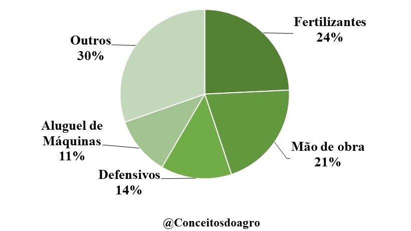 Custo de produção da laranja em São Paulo para o ano de 2021.