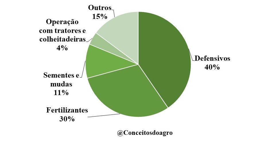 Custo de produção do feijão em Minas Gerais de primeira safra em 2021