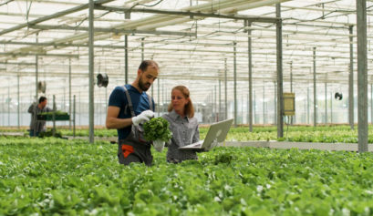 gestão de recursos humanos em uma propriedade rural