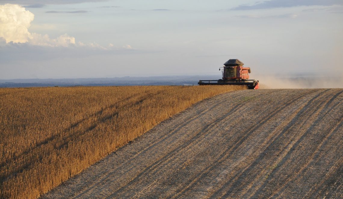 Custo de produção da soja em Mato Grosso do Sul na safra 2022/23