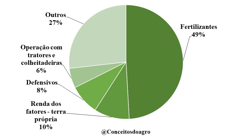 Custo de produção do sorgo em Tocantins na segunda safra de 2022.