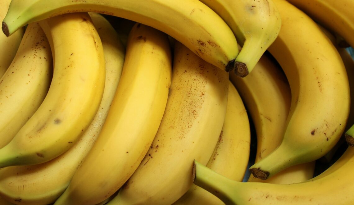 Custo de produção da banana prata na Bahia no ano de 2022.