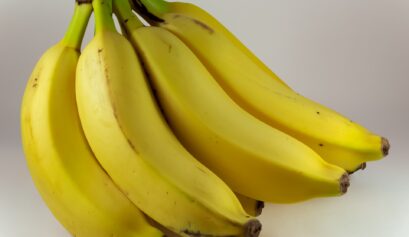 Custo de produção da banana prata em Minas Gerais para o ano de 2022.