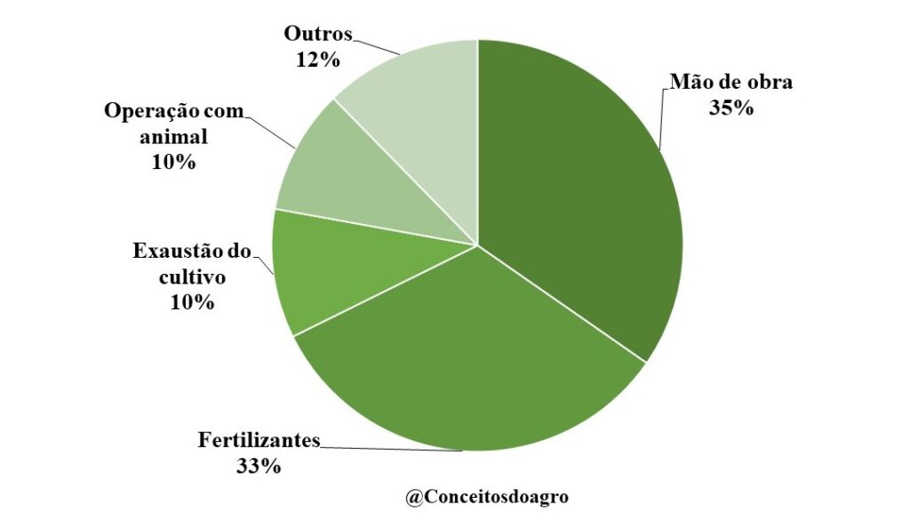 Custo de produção do cacau na Bahia no ano de 2022.