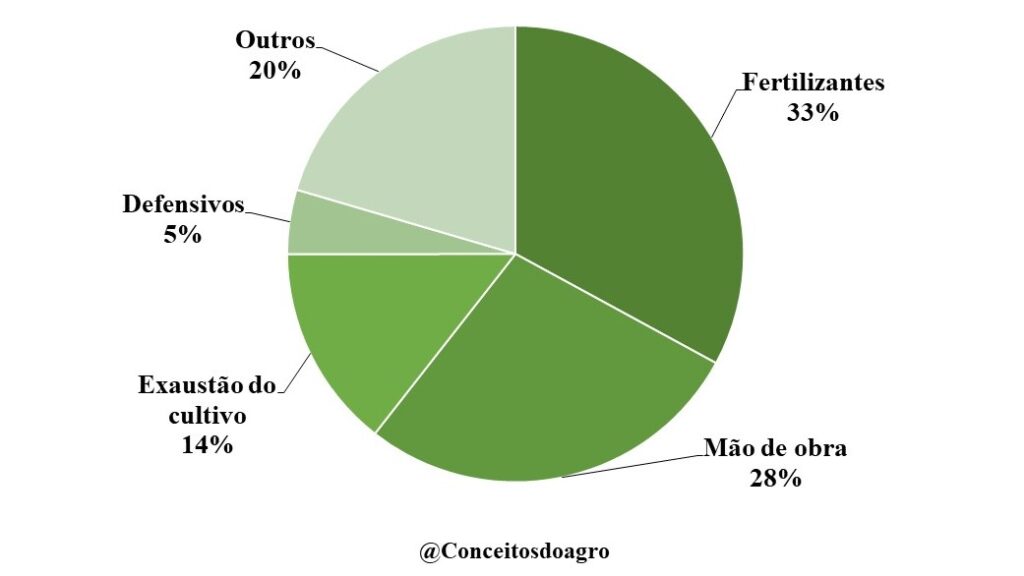 Custo de produção da laranja na Bahia no ano de 2022.