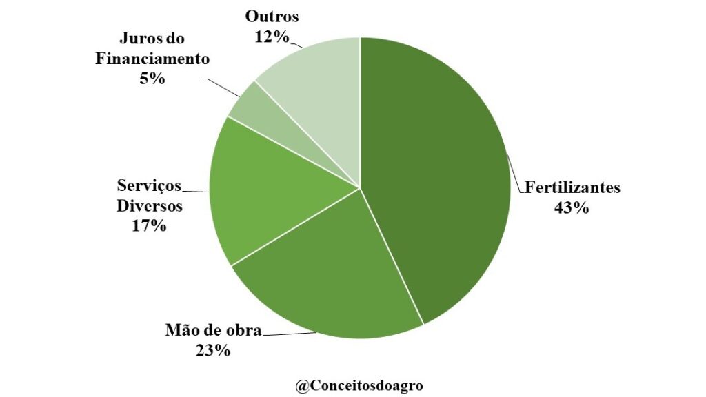 Custo de produção da banana prata na Bahia no ano de 2022.