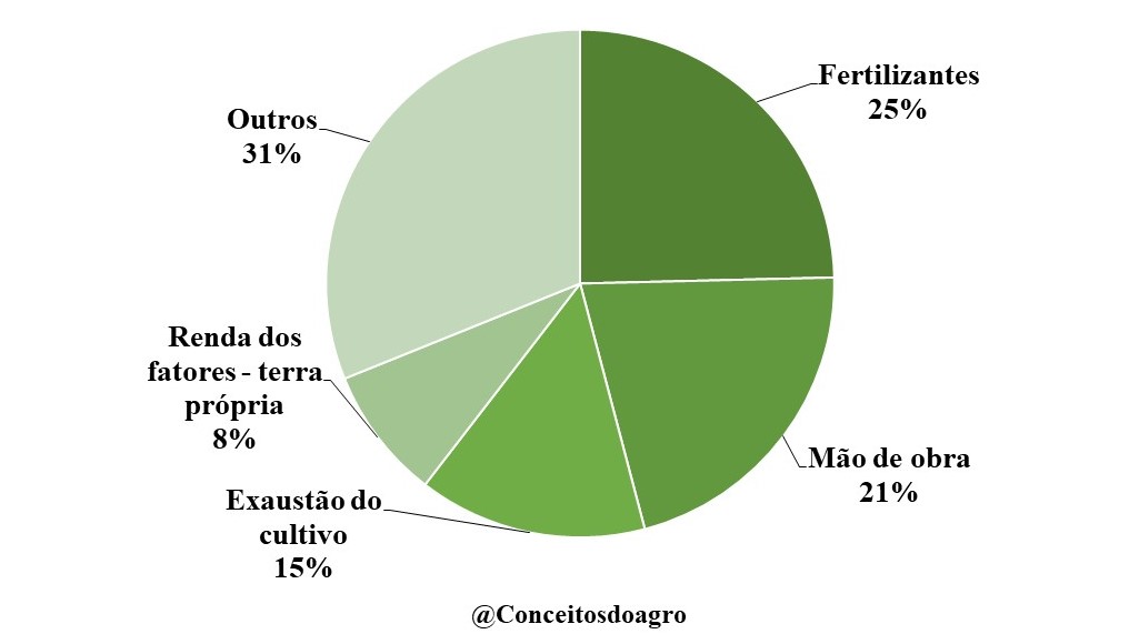 Custo de produção da laranja no Rio Grande do Sul no ano de 2022.