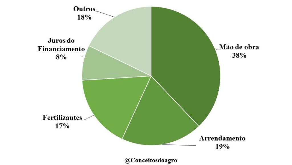 Custo de produção da mandioca no Alagoas na safra de 2022/23.