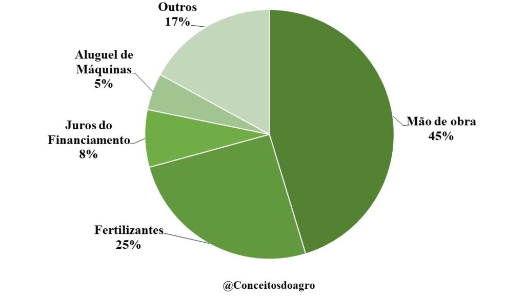 Custo de produção da mandioca na Bahia na safra de 2022/23.