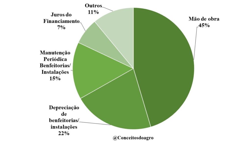 Custo de produção da mandioca no Maranhão na safra de 2022/23.