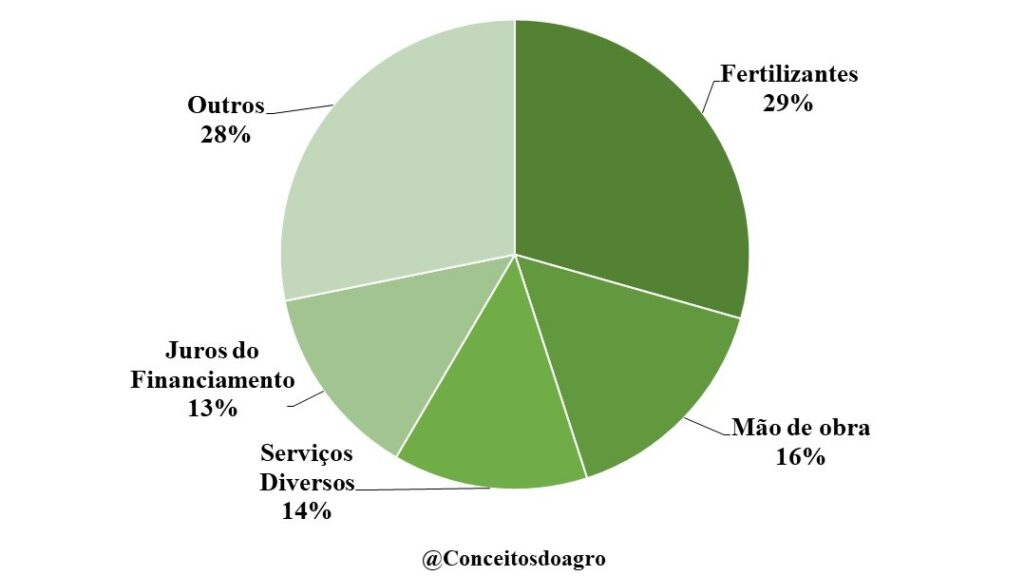 Custo de produção do abacaxi em Alagoas na safra de 2022/23.