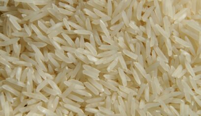 Custo de produção do arroz sequeiro em Mato Grosso na safra de 2022/23.