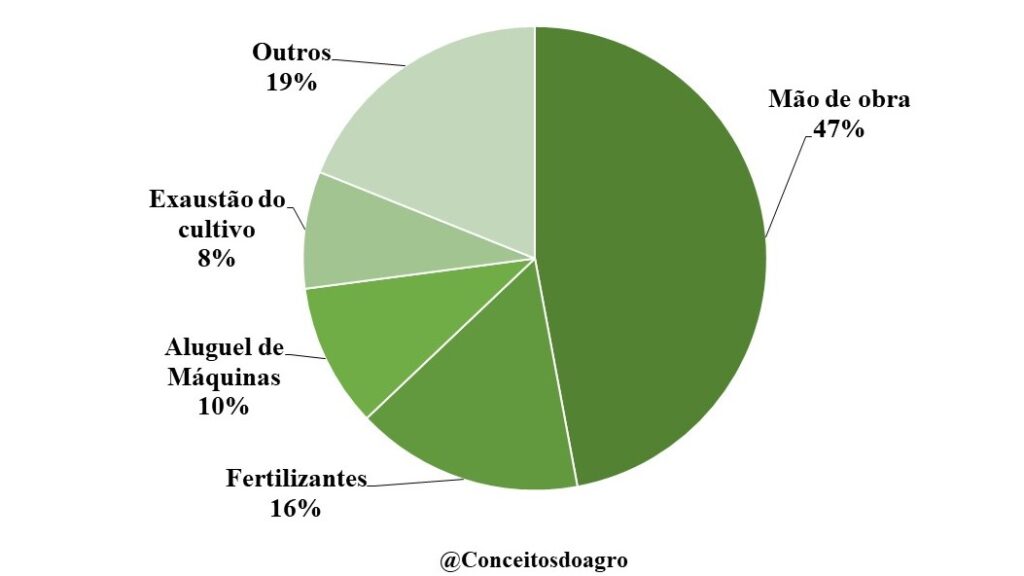 Custo agrícola da castanha de caju no Rio Grande do Norte no ano de 2022.