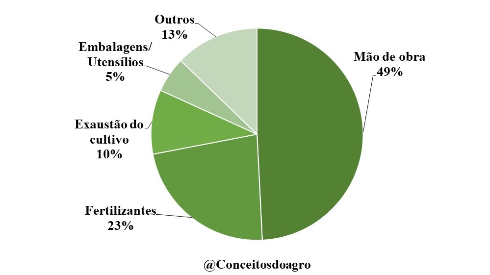 Custo de produção do guaraná na Bahia no ano de 2022.