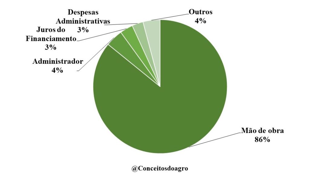 Custo de produção da mandioca no Piauí na safra de 2022/23.